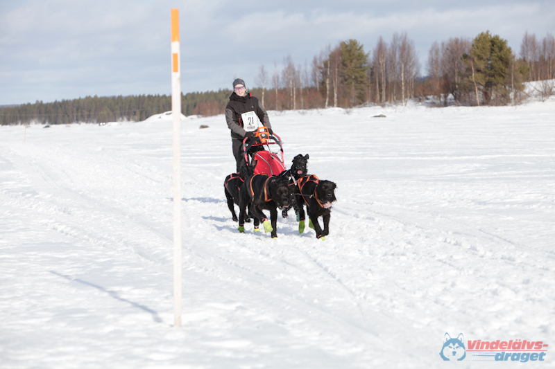 Joakim Blomkvist 2012-03-16_12-18-53.jpg