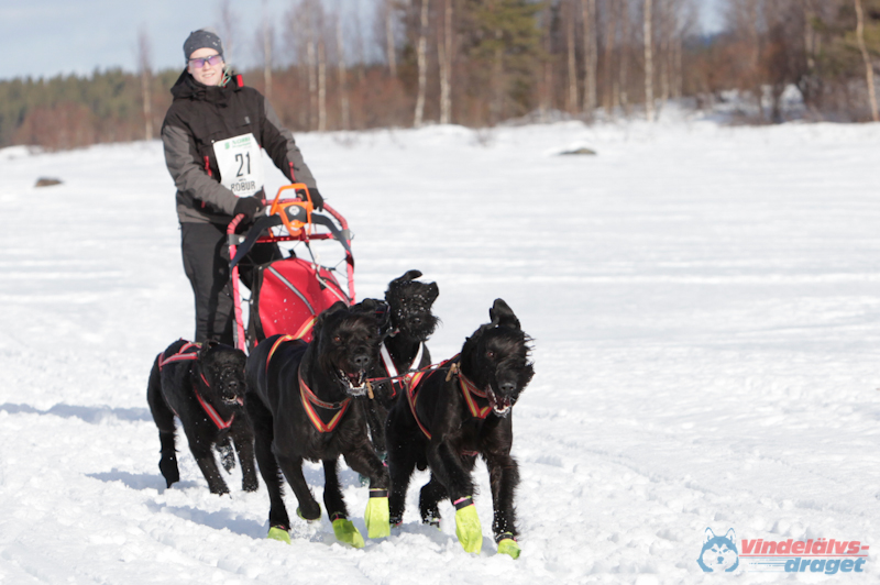 Joakim Blomkvist 2012-03-16_12-18-54.jpg