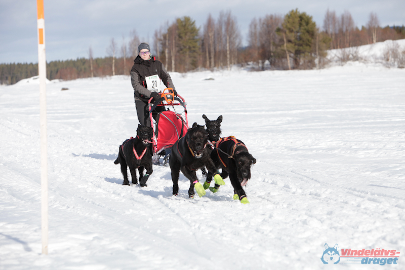 Joakim Blomkvist 2012-03-16_12-18-56.jpg