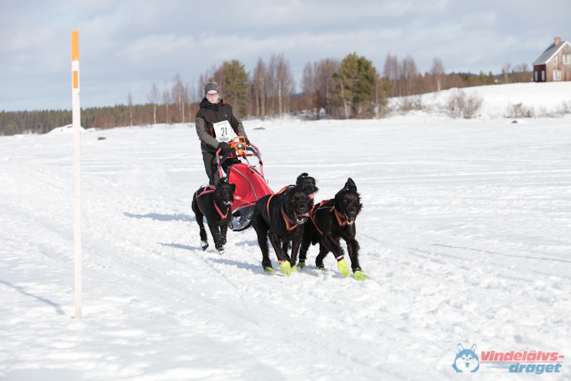 Joakim Blomkvist 2012-03-16_12-18-57.jpg