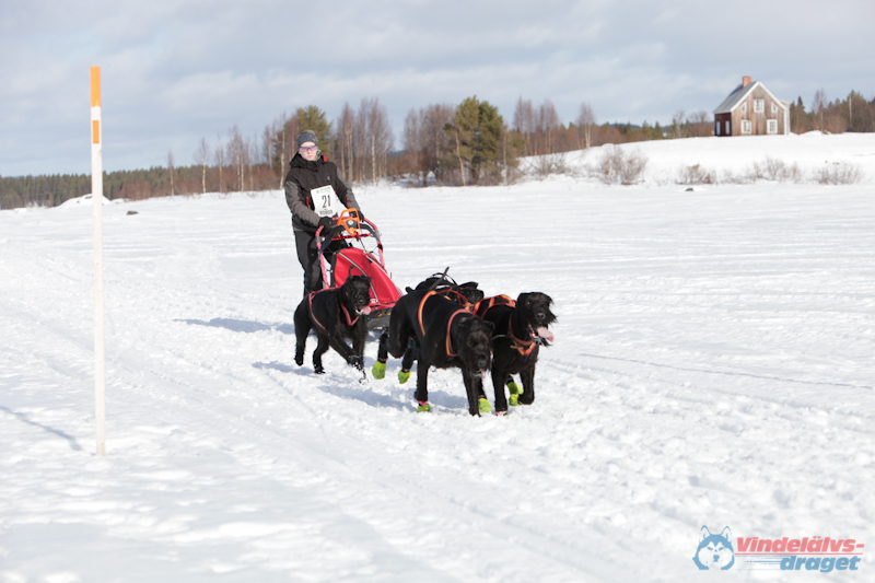 Joakim Blomkvist 2012-03-16_12-18-58.jpg