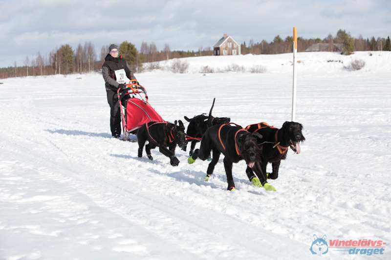 Joakim Blomkvist 2012-03-16_12-19-00.jpg