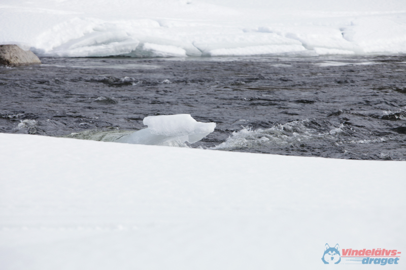 Joakim Blomkvist 2012-03-16_12-59-46.jpg
