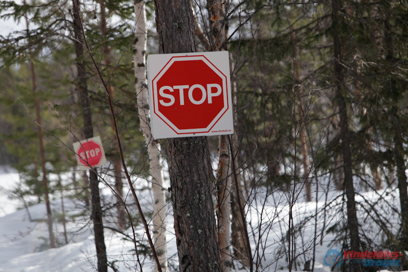 Joakim Blomkvist 2012-03-16_13-07-21.jpg