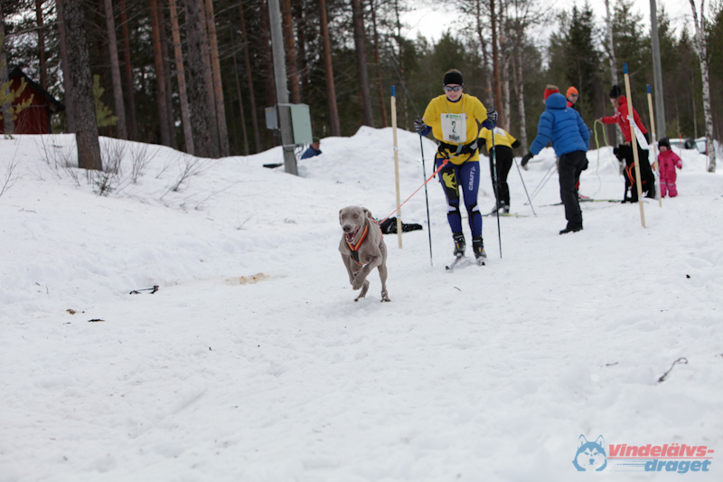 Joakim Blomkvist 2012-03-16_14-08-12.jpg