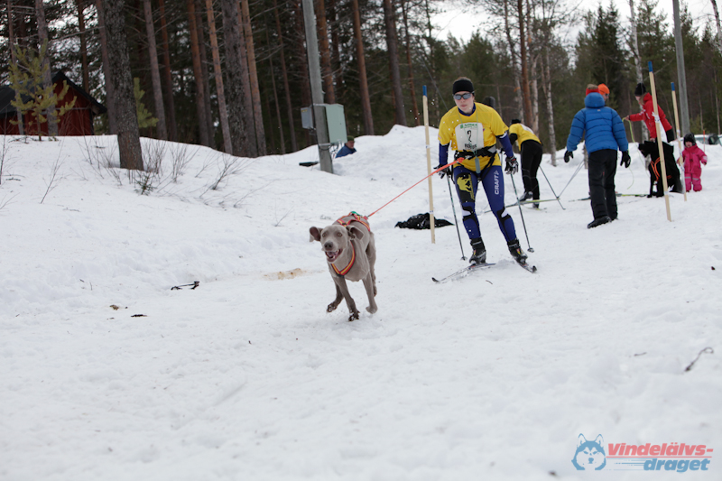 Joakim Blomkvist 2012-03-16_14-08-13.jpg