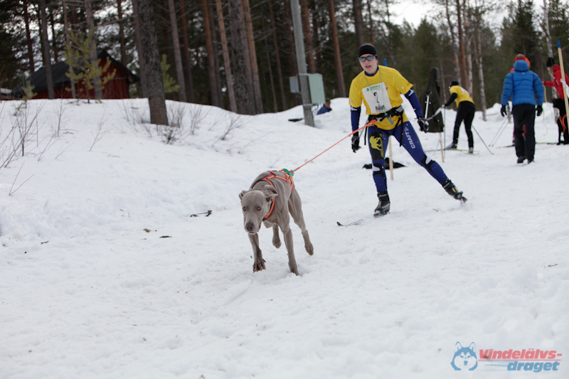Joakim Blomkvist 2012-03-16_14-08-14.jpg