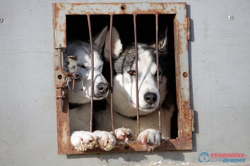 Joakim Blomkvist 2012-03-16_15-09-29.jpg