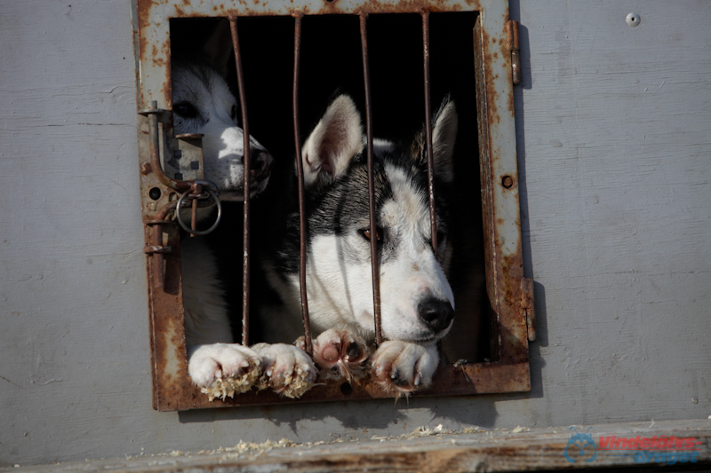Joakim Blomkvist 2012-03-16_15-09-51.jpg