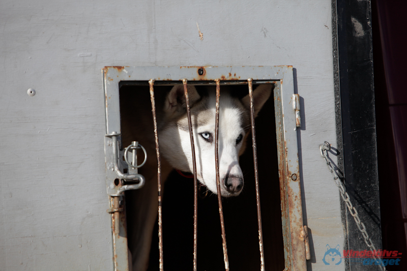 Joakim Blomkvist 2012-03-16_15-10-00.jpg