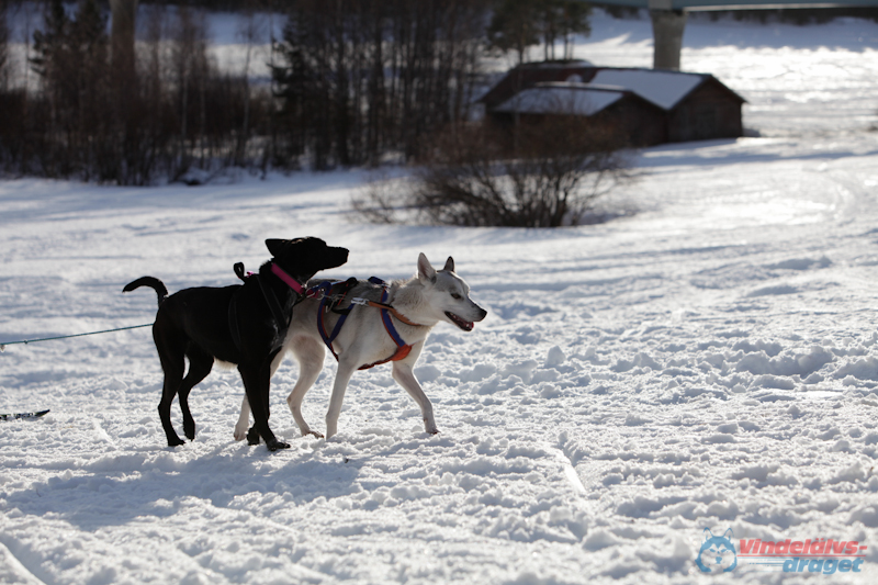 Joakim Blomkvist 2012-03-16_17-14-21.jpg