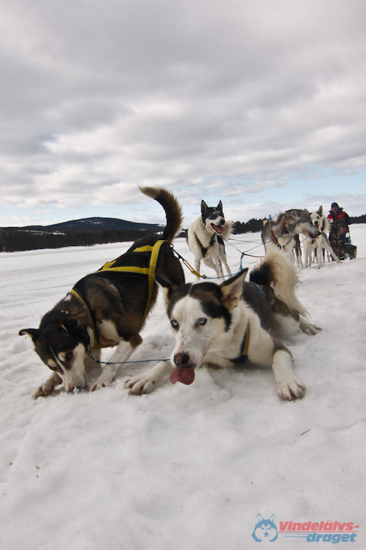 Cristoffer_Hellstrom 2012-03-17_12-21-22.jpg