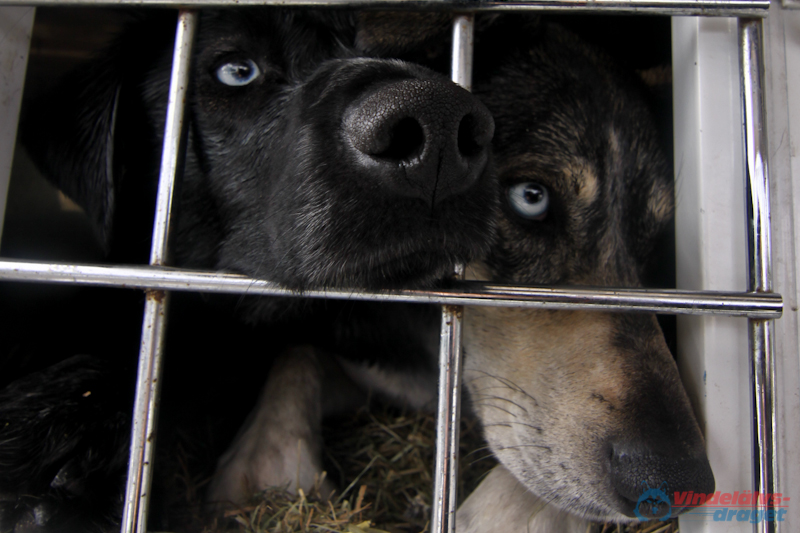 Cristoffer_Hellstrom 2012-03-17_13-31-50.jpg