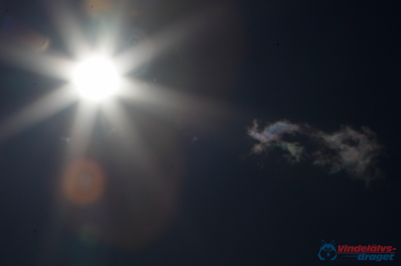 Joakim Blomkvist 2012-03-17_10-29-30.jpg