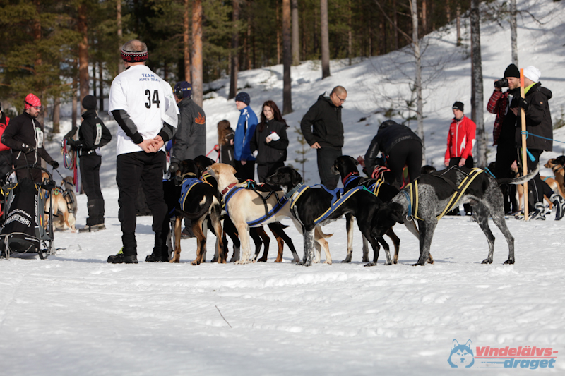 Joakim Blomkvist 2012-03-17_11-28-52.jpg