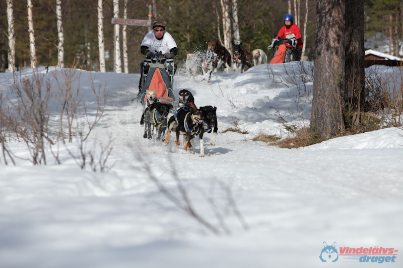 Joakim Blomkvist 2012-03-17_11-37-44.jpg
