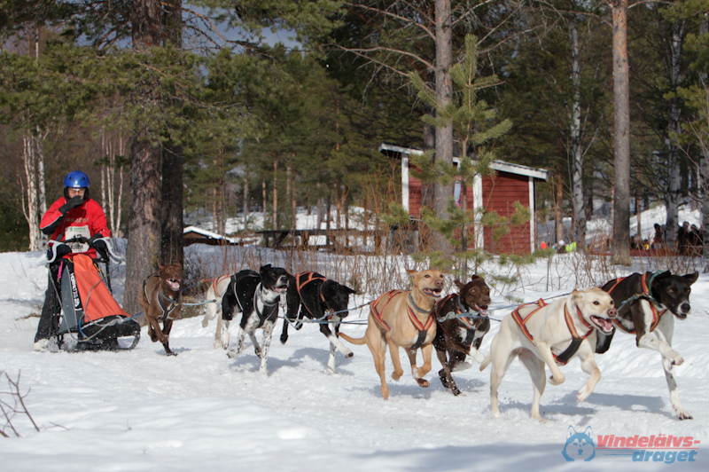 Joakim Blomkvist 2012-03-17_11-37-51.jpg
