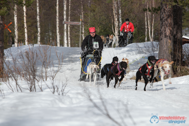 Joakim Blomkvist 2012-03-17_11-39-08.jpg