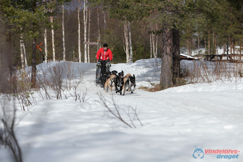 Joakim Blomkvist 2012-03-17_11-39-09.jpg