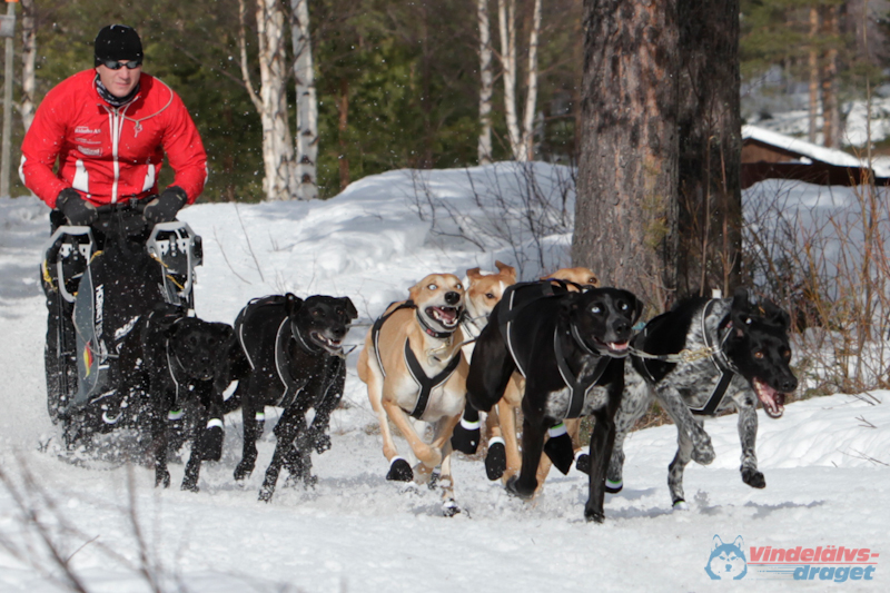 Joakim Blomkvist 2012-03-17_11-39-11.jpg