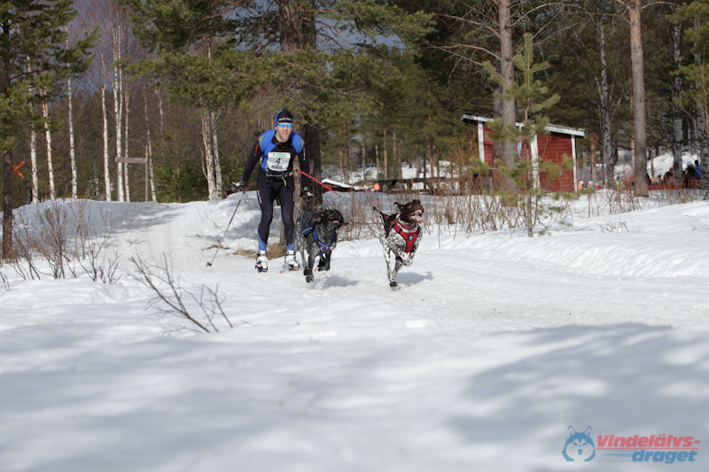 Joakim Blomkvist 2012-03-17_11-40-39.jpg