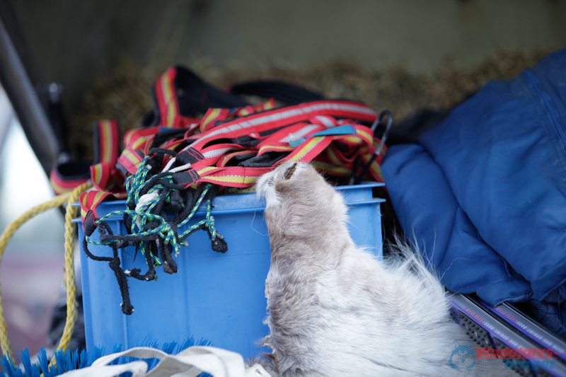 Joakim Blomkvist 2012-03-18_08-09-54.jpg
