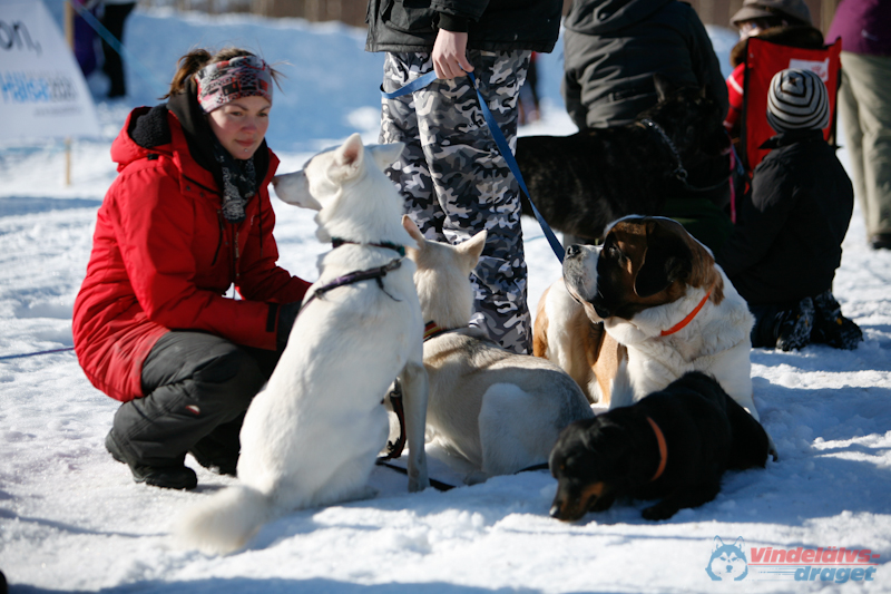 Joakim Blomkvist 2012-03-18_12-21-50.jpg