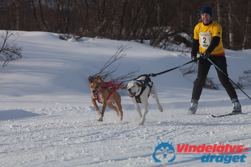 Joakim_B 2013-03-14_10-12-55.jpg