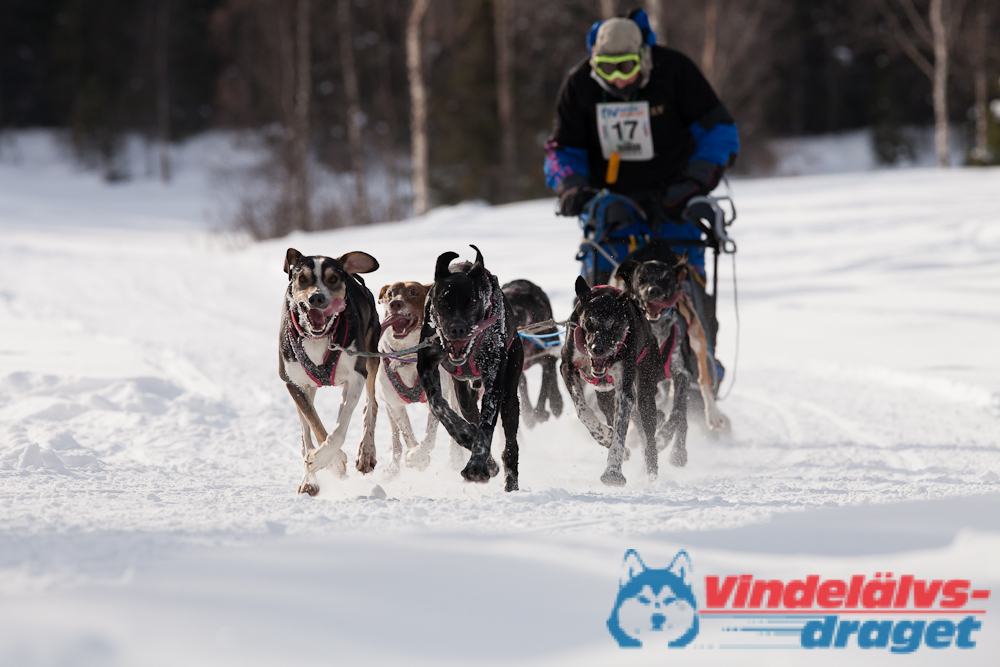 Joakim_B 2013-03-14_10-54-20.jpg