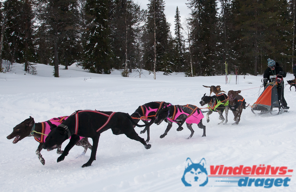 Joakim_B 2013-03-14_11-34-04.jpg