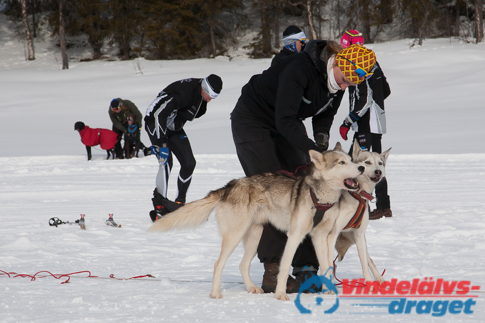 Joakim_B 2013-03-14_11-50-53.jpg