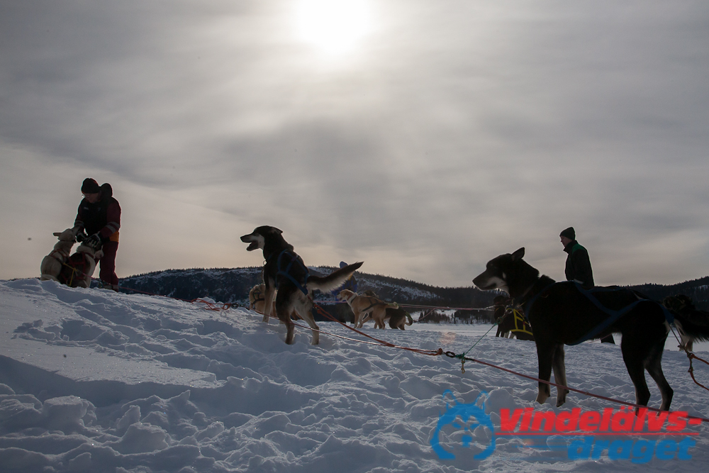 Joakim_B 2013-03-14_11-53-36.jpg