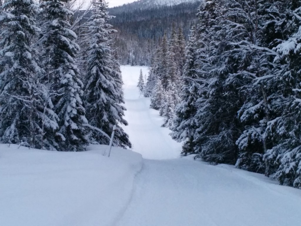 2015-03-10 17.41.07.jpg