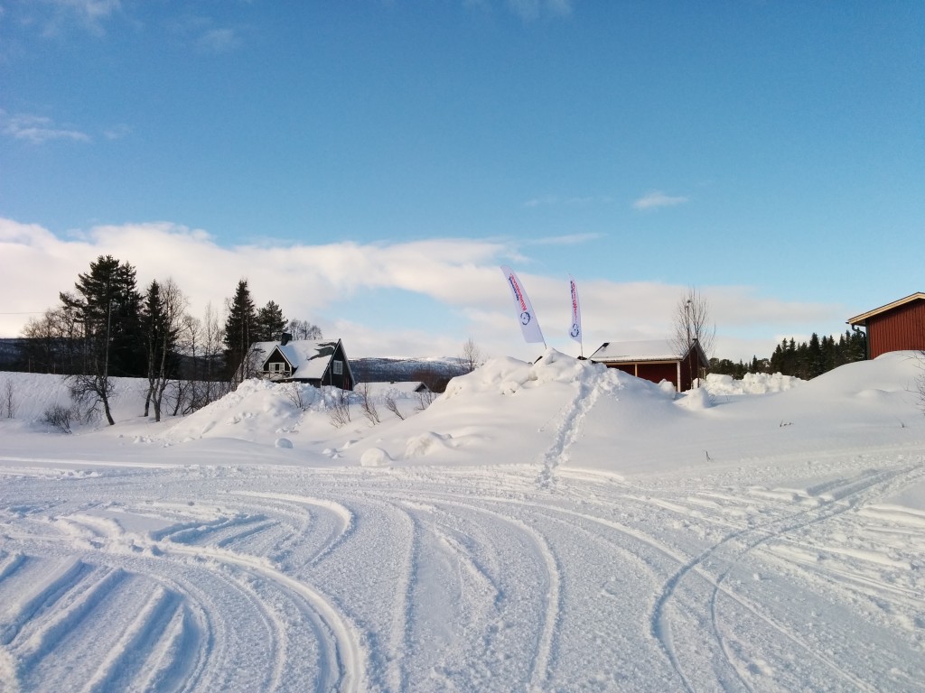 2015-03-11 10.02.50.jpg