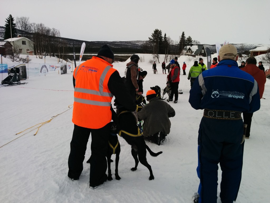 2015-03-12 09.27.14.jpg