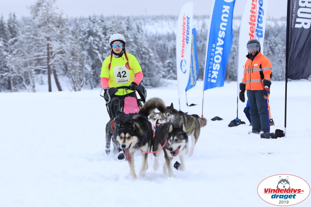Vindelalvsdraget2019Fredag-106.jpg