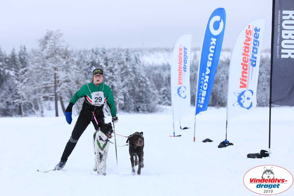Vindelalvsdraget2019Fredag-107.jpg