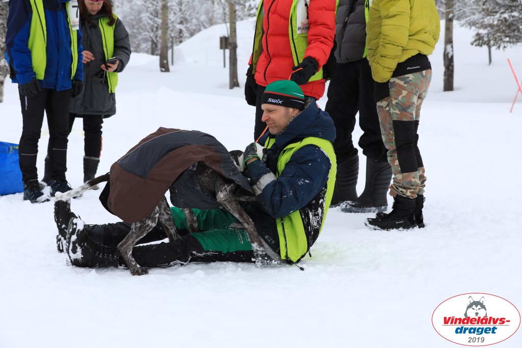 Vindelalvsdraget2019Fredag-114.jpg