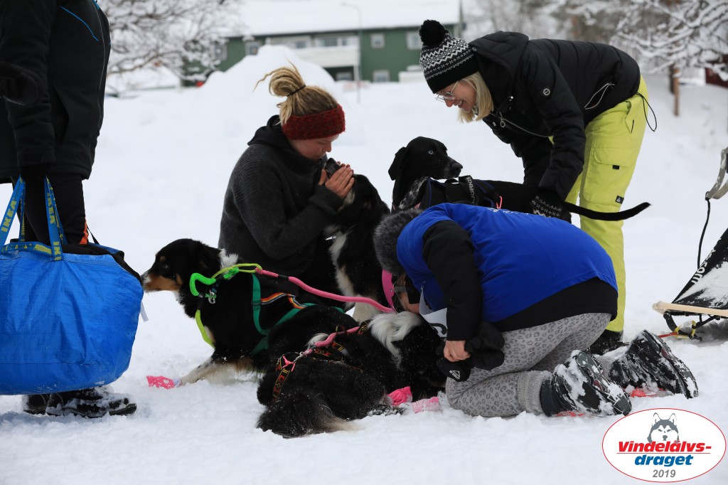 Vindelalvsdraget2019Fredag-123.jpg