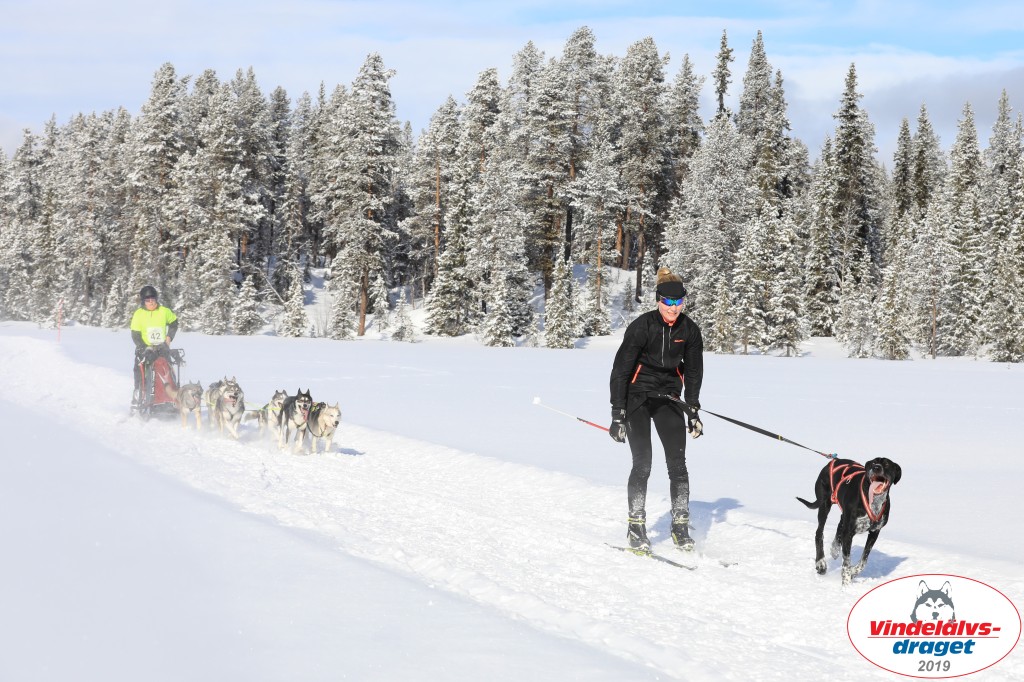 Vindelalvsdraget2019Fredag-18.jpg