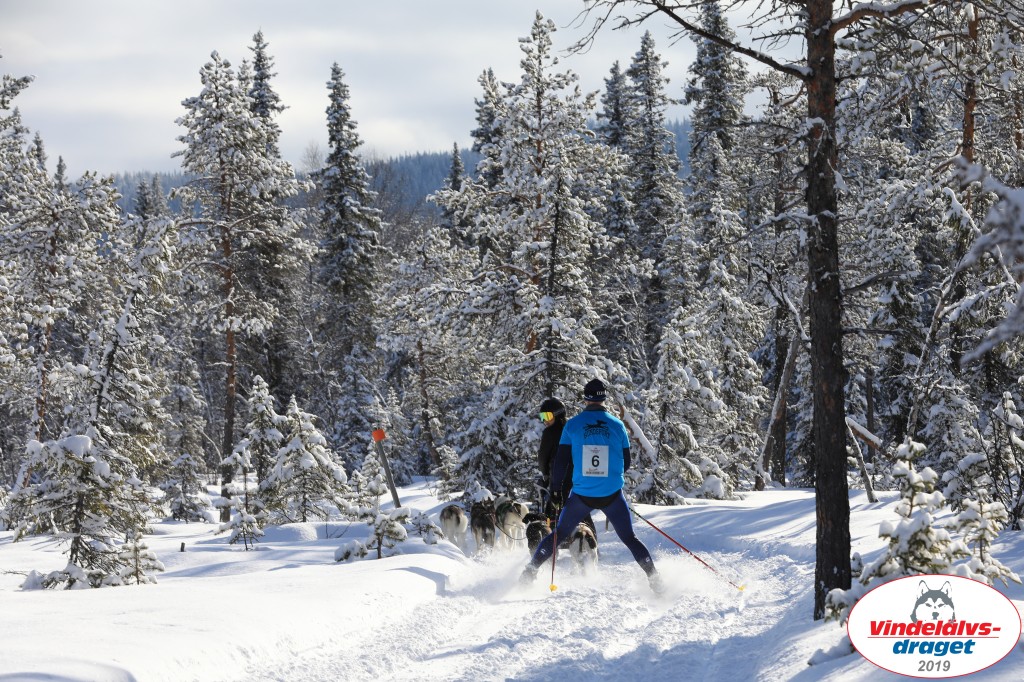 Vindelalvsdraget2019Fredag-19.jpg
