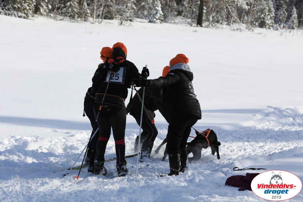 Vindelalvsdraget2019Fredag-30.jpg