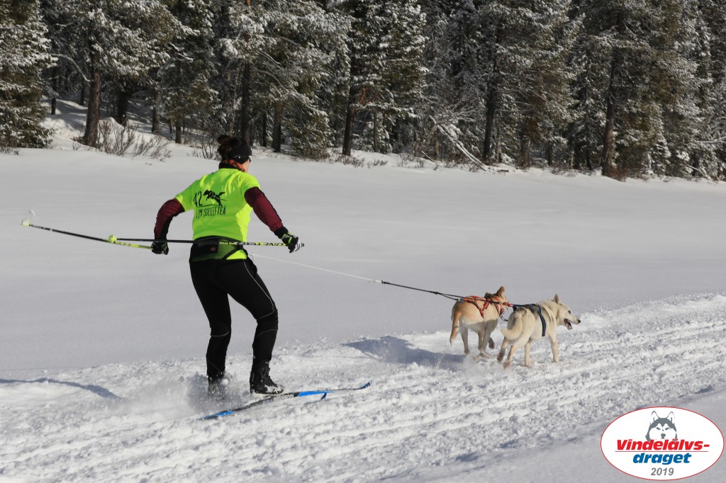 Vindelalvsdraget2019Fredag-35.jpg