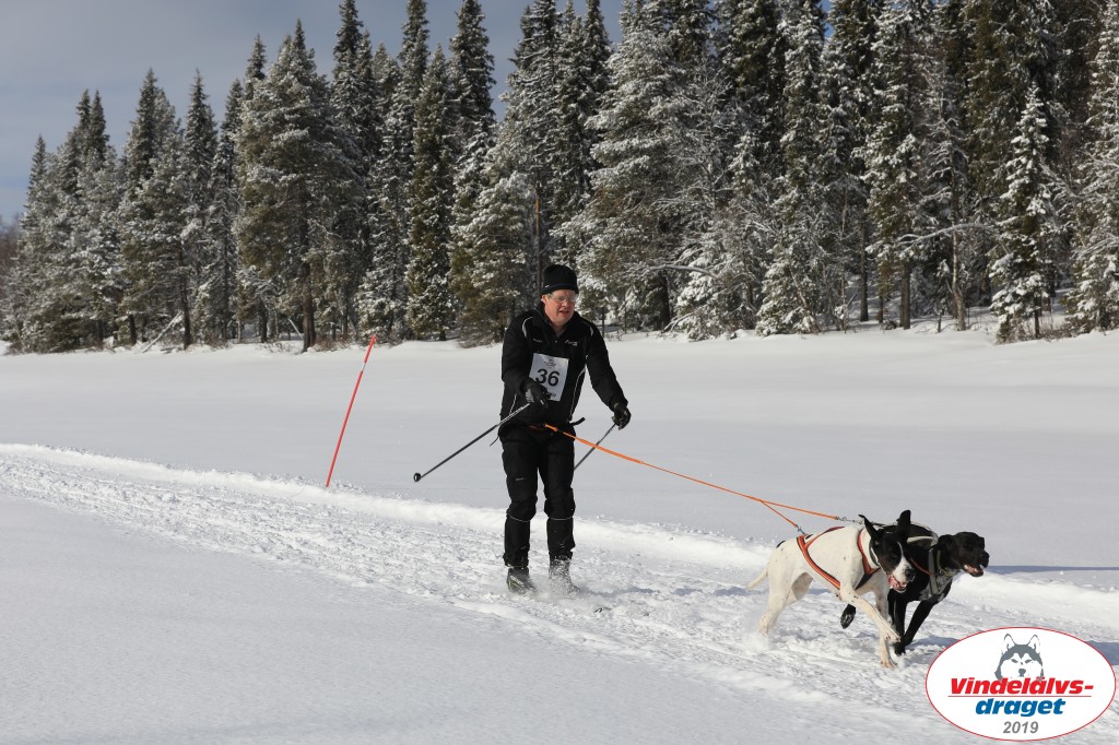 Vindelalvsdraget2019Fredag-37.jpg