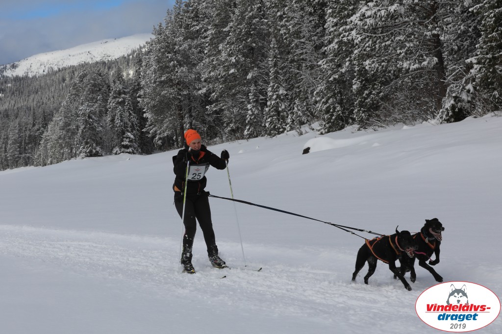 Vindelalvsdraget2019Fredag-42.jpg