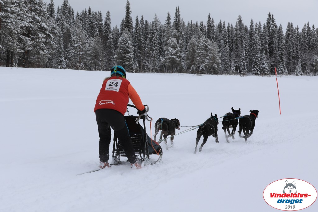 Vindelalvsdraget2019Fredag-58.jpg