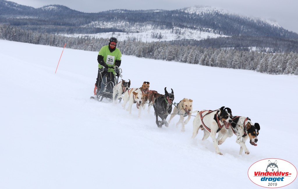 Vindelalvsdraget2019Fredag-66.jpg