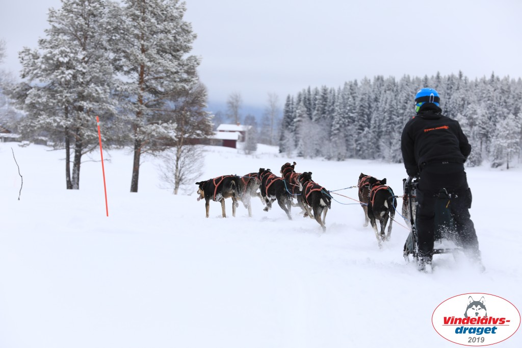 Vindelalvsdraget2019Fredag-68.jpg