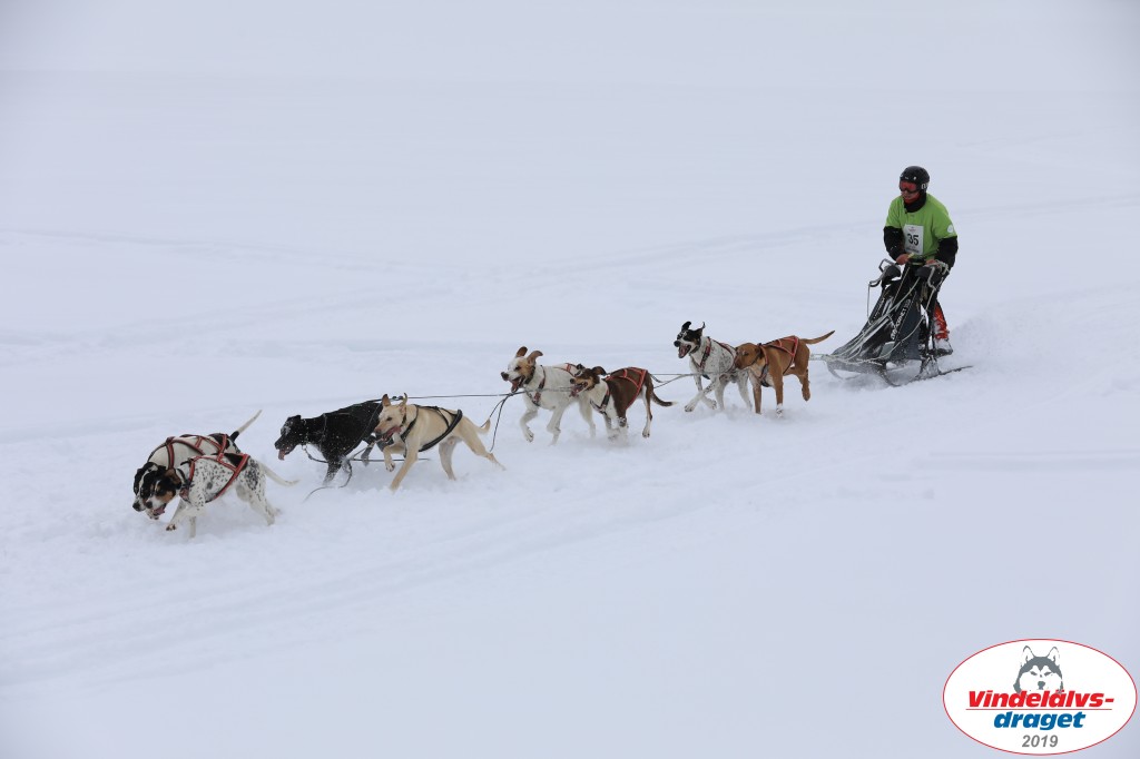 Vindelalvsdraget2019Fredag-72.jpg