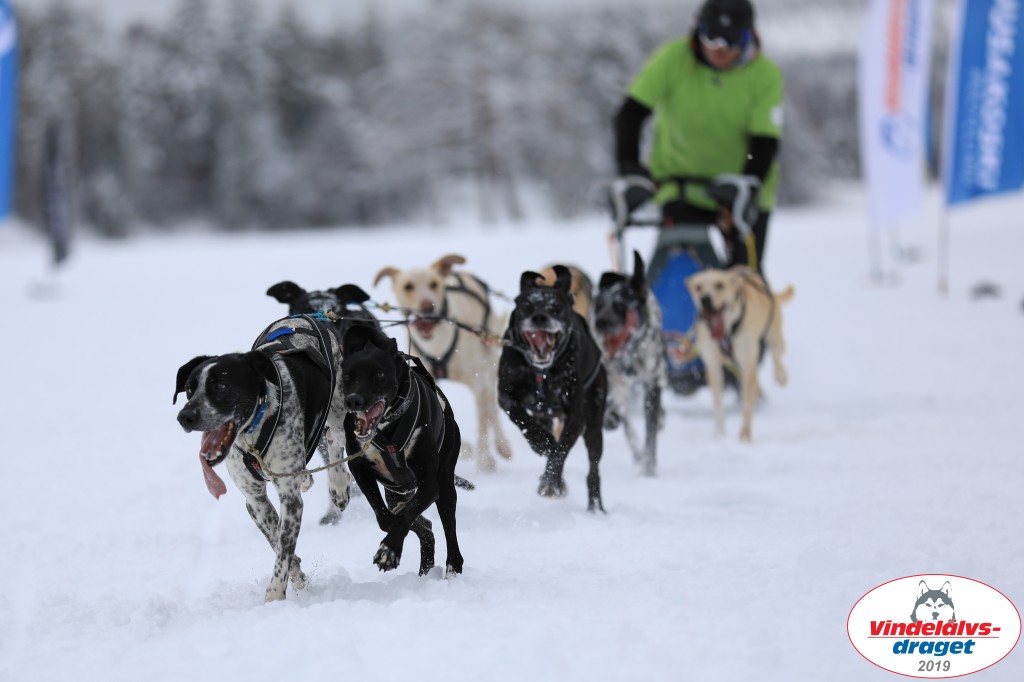 Vindelalvsdraget2019Fredag-85.jpg